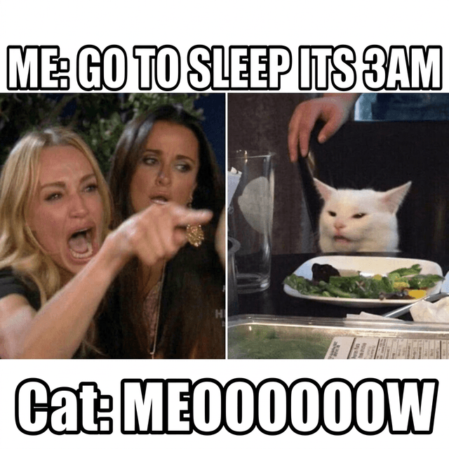 Generated meme example 2