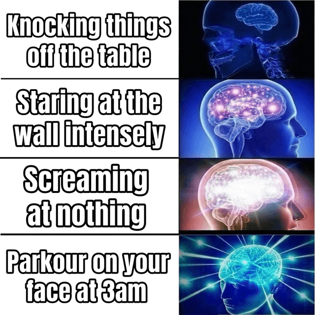 Generated meme example 3