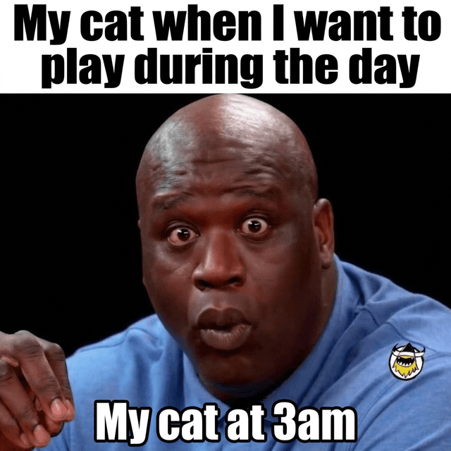 Generated meme example 7