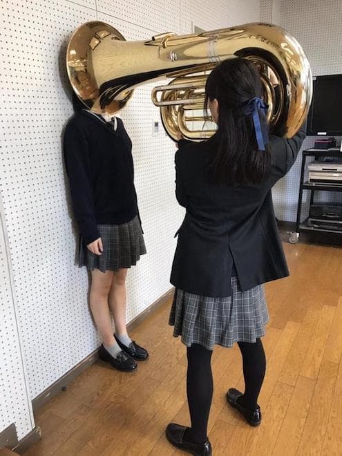 Girl Putting Tuba On Girl's Head meme template