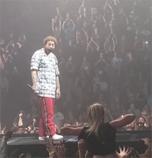Woman Flashing Post Malone meme template