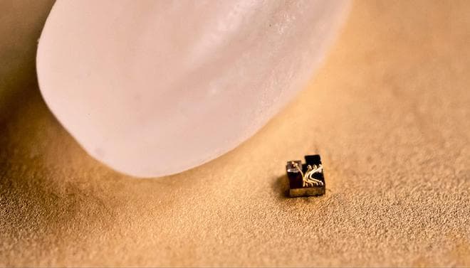 A Grain Of Rice meme template