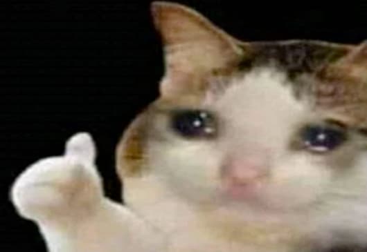 Thumbs Up Crying Cat meme template