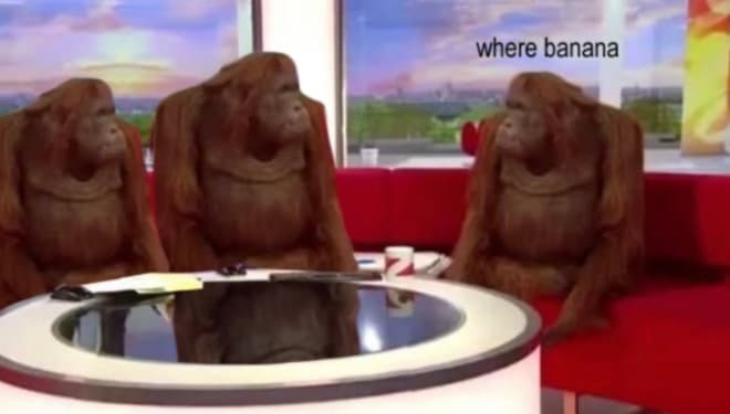 Where Banana meme template