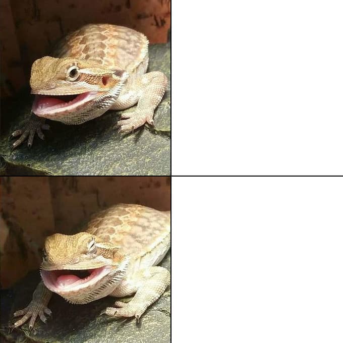Butter the Bearded Dragon meme template